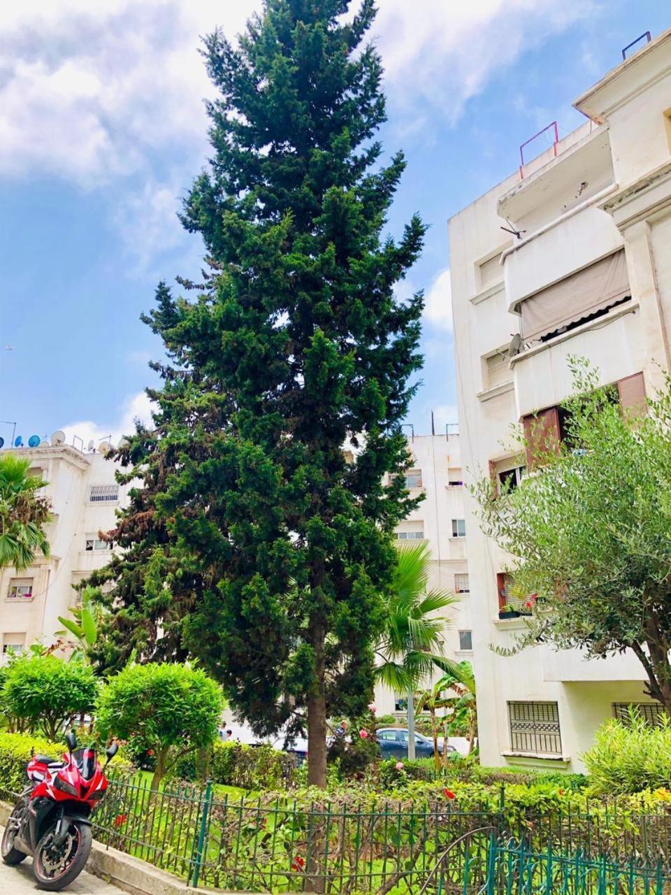 A Bnu Tachfine Apartamento